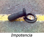 Improvisa :: Fotografía :: Micrografías, Fotografías de Móvil